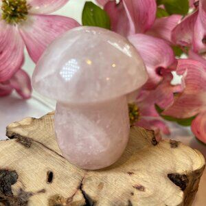 Rose Quartz Mushroom Crystal Healing Reiki